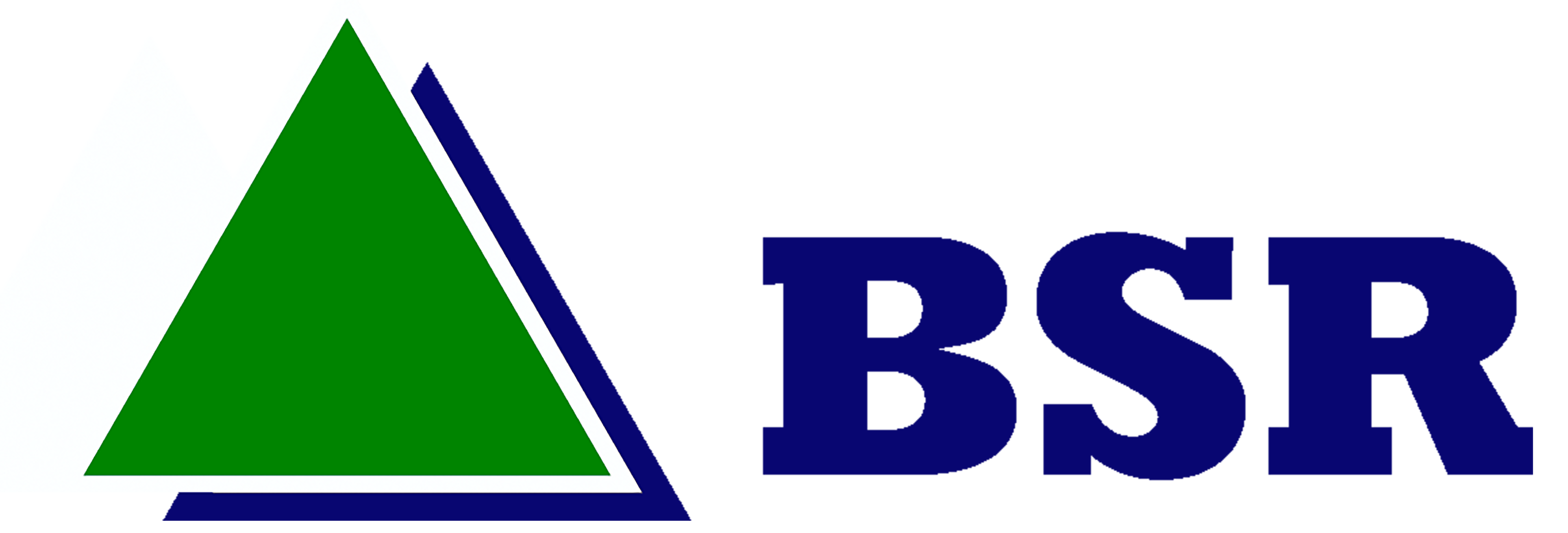 Bailey Special Risks, Inc. logo